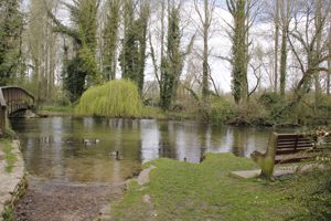 Duck pond- click for photo gallery